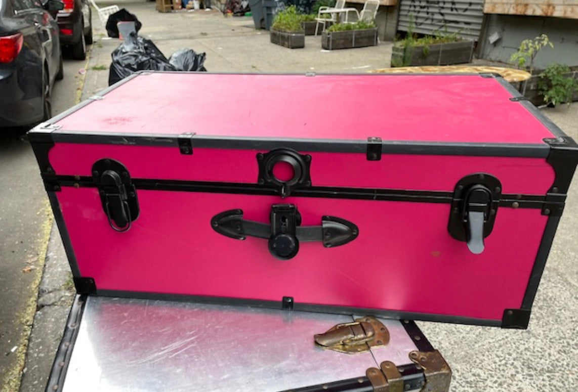 “D” For Dope Pink and Black Color Blocking Trunk