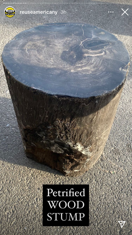 Petrified Wood Stump Side Table Stool