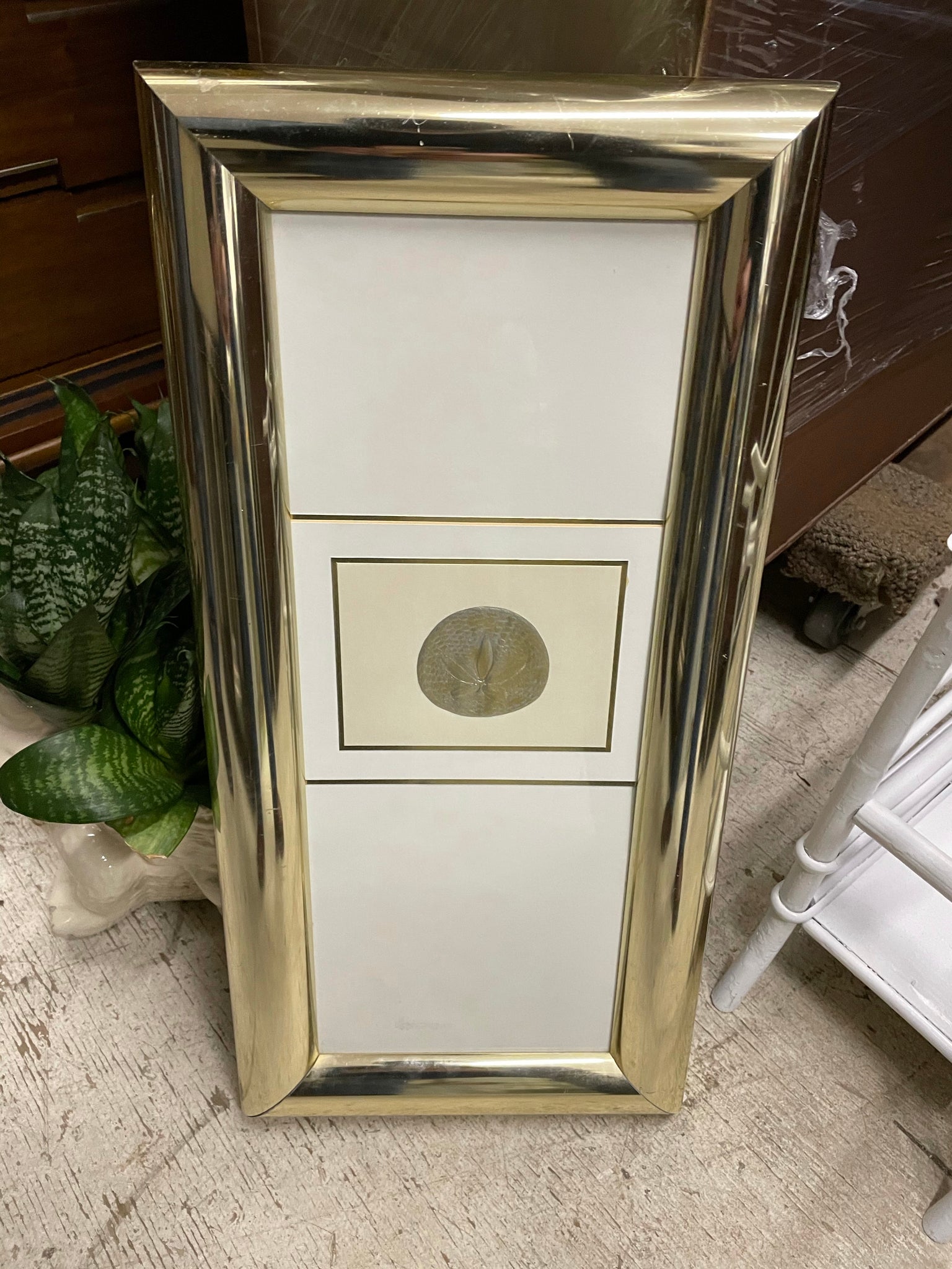Gold Decorative Shell Framed
