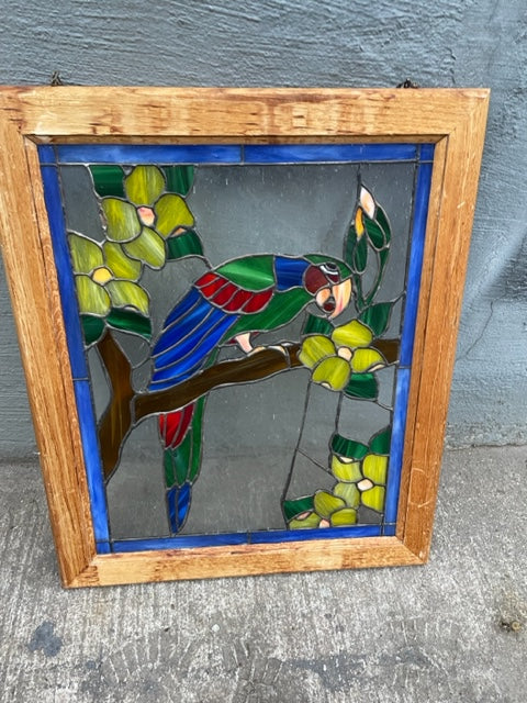 Parrot stained glass